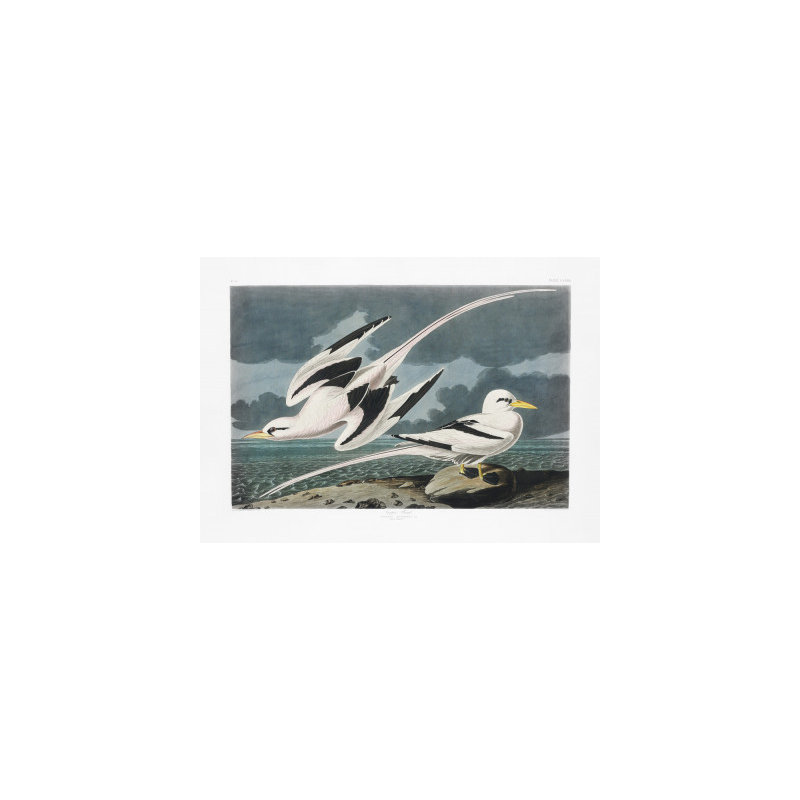 Wrapped Canvas Print, 50.8 cm H x 76.2 cm W