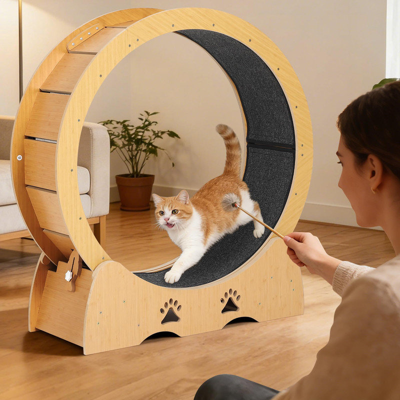Roue d'exercice pour chat 43,3 po en bois, tapis de course silencieux avec tapis pour grands chats d'intérieur, Yellow