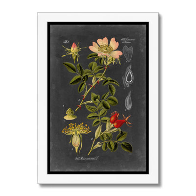 Midnight Botanical I 1 Piece Wall Art