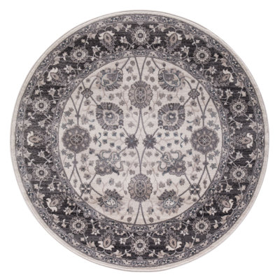 Oriental Indoor Rug