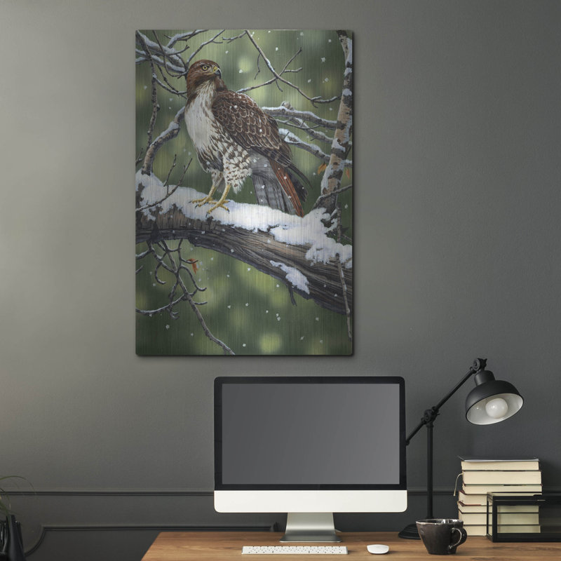 " Red Tailed Hawk " by William Vanderdasson