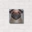 "Carlin portant des lunettes de hipster 6" par Furbaby Affiliates-271133045