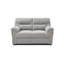 Causeuse moderne gris-2053997240