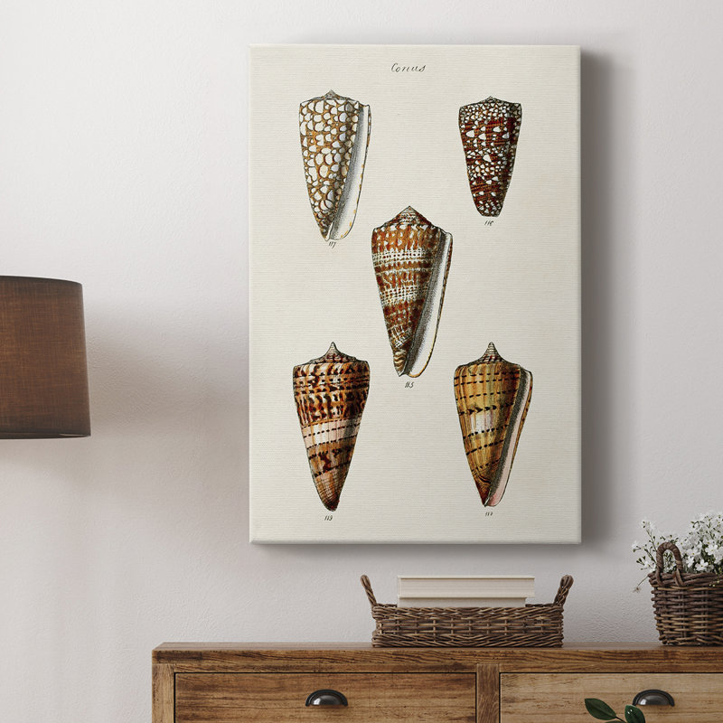 Collection Cone Shell II - galerie Cavas sur mesure, H 60 po x l 40 po