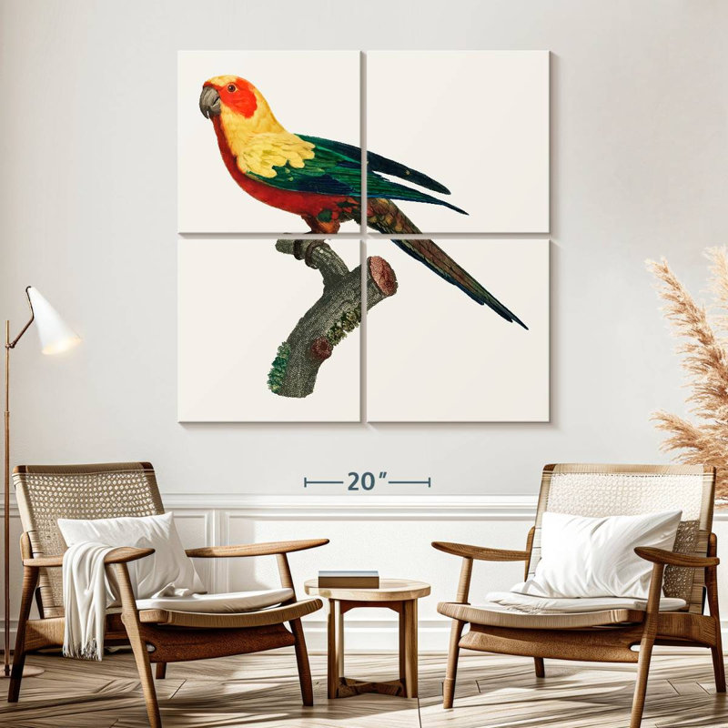 Brampt Sun Conure, 57" H x 57" W