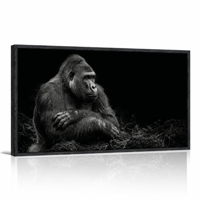 Black and White Gorilla Sitting in Dark Canvas Wall Art