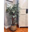 Organic Modern 4.5' Faux Moringa Tree