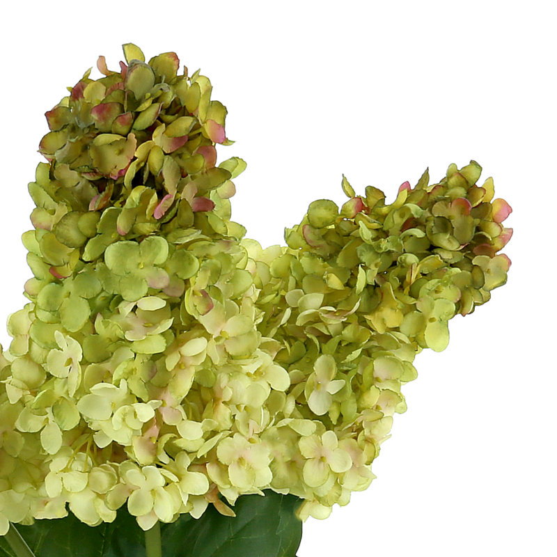 Luxe Cone Hydrangea Arrangement, Green
