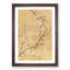 Bird on Cherry Blossoms by Maruyama Okyo - Picture Frame Painting Print-55501013-55501015