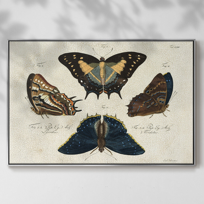 «Crackled Butterflies IV», reproduction d'art sur toile, H 25 po x l 37 po x P 2 po, Argent