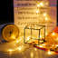 300cm 300 - Bulb Fairy String Light
