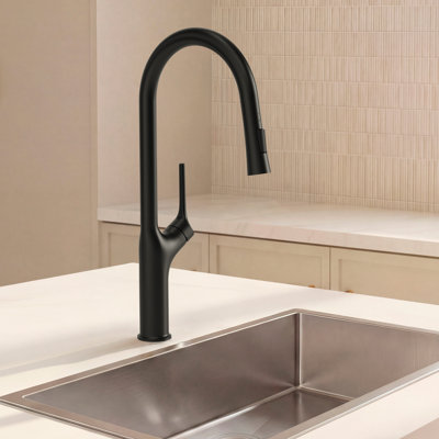 Pull Down Single Handle Kitchen Faucet with Dual Function