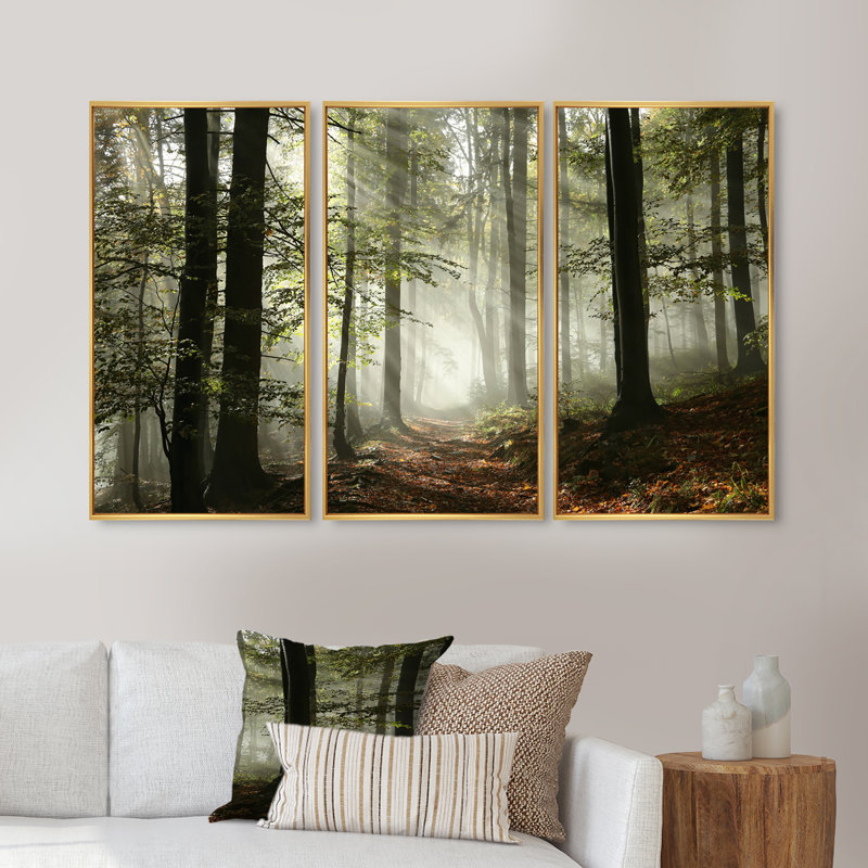 «Light In Dense Fall Forest With Fog», ensemble d'art mural sur toile encadré paysage, H 32 po x l 48 po, Or