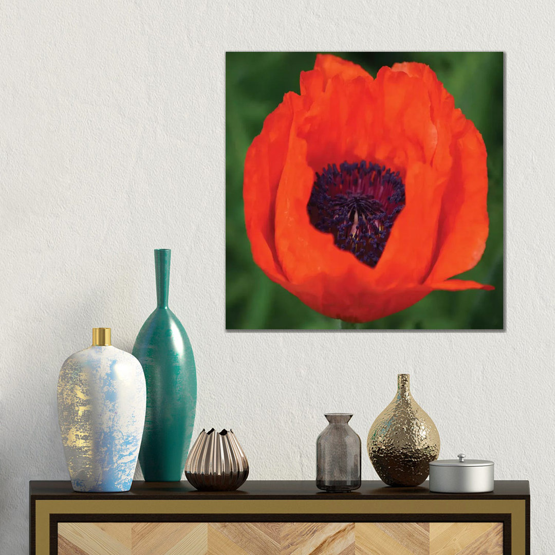 Orange Poppy I von Savanah Plank - Galerie-verpackte Leinwand Giclée auf Leinwand