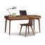 Catalina Writing Desk with Keyboard Tray-132610860