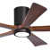 Irene 5 - Blade LED Ceiling Fan with Light Kit Included