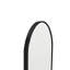 Nappanee Arch Full Length Wall Mirror-141953914