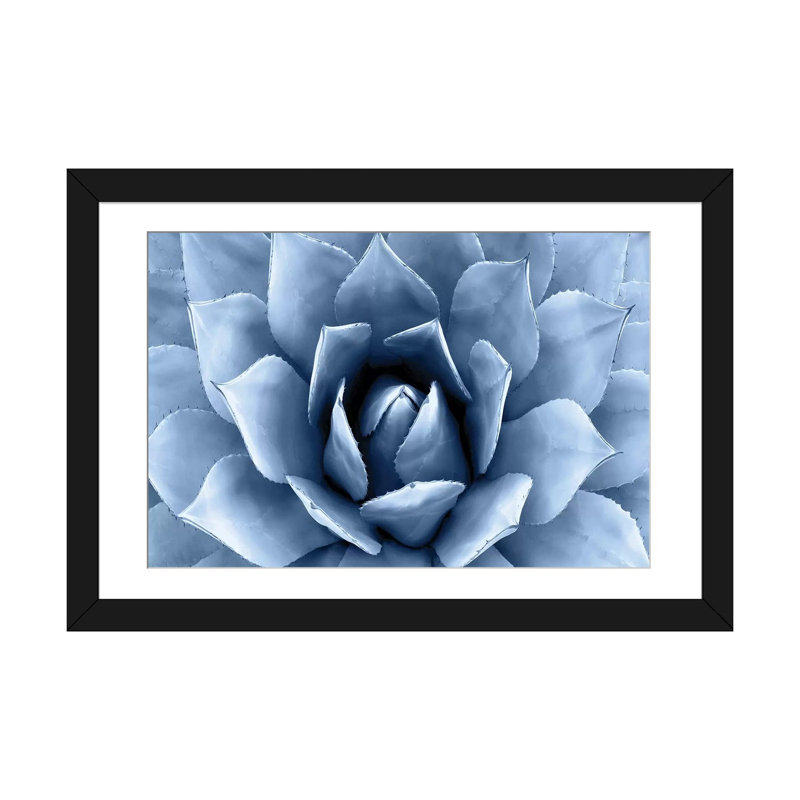 «Succulent II», impression sur toile, H 24 po x l 32 po x P 1 po, Cadre noir