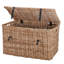 Artim Wicker Trunk