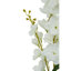 Fiori Delphinium Arrangement