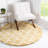 Walsenburg Oriental Indoor Rug