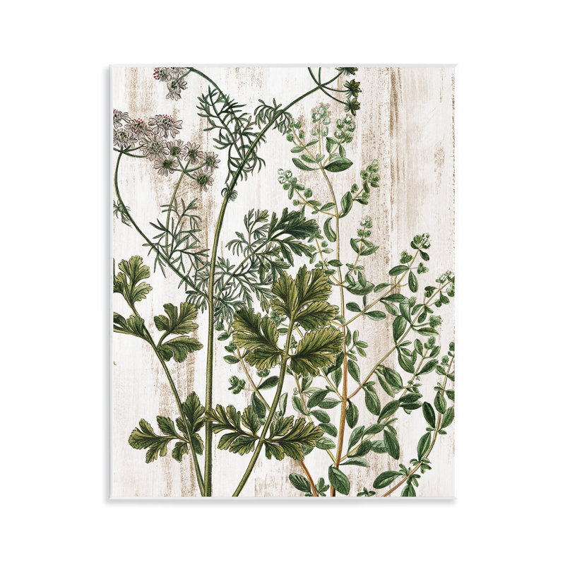 "Botanical Greenery", art mural par Kim Allen