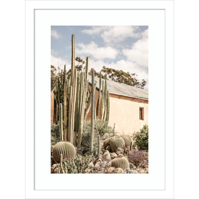 Karoo Garden 02 by Shot by Clint Wood Framed Wall Art Print