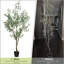 Olive artificielle avec des fruits avec des feuilles réalistes et un tronc naturel pour un décor intérieur et extérieur-1137187271
