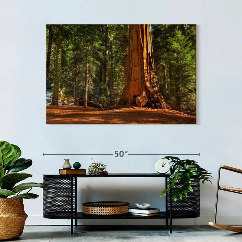 Alvord général Grant Grove arbres