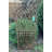 48'' H x 18'' W Solid Wood Trellis