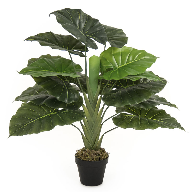 Faux plantes de palmier en pot