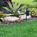 Design Toscano Woodie, the Woodland Fox Garden Statue & Reviews | Wayfair