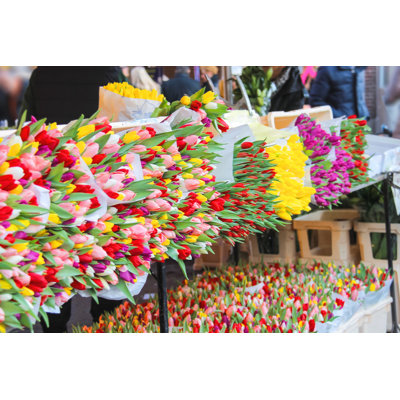 Tulips In Dutch Market by NickNick_ko - Wrapped Canvas Print