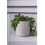 Parsons Handmade Ceramic Pot Planter-1033799153-1033799154