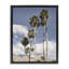 Cadre flottant Palm Springs, dessiné par Danita Delimont-729896592-729896593