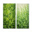 Herbes Thym Passage I - ensemble de 3 reproductions d'art en métal Herbs-1940671772