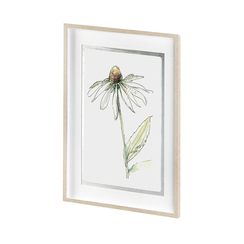 Echinacée I de Panpan, reproduction d'art encadrée sous verre, 31.5L x 1.6W x 41.5H, Echinacea II, 1