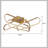 31.8‘’ Ceiling Light LED Semi Flush Mount Ceiling Lights Dimmable For Living Room