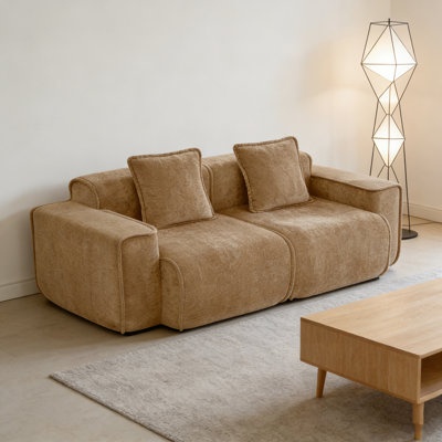Velvet Loveseat with two pillows