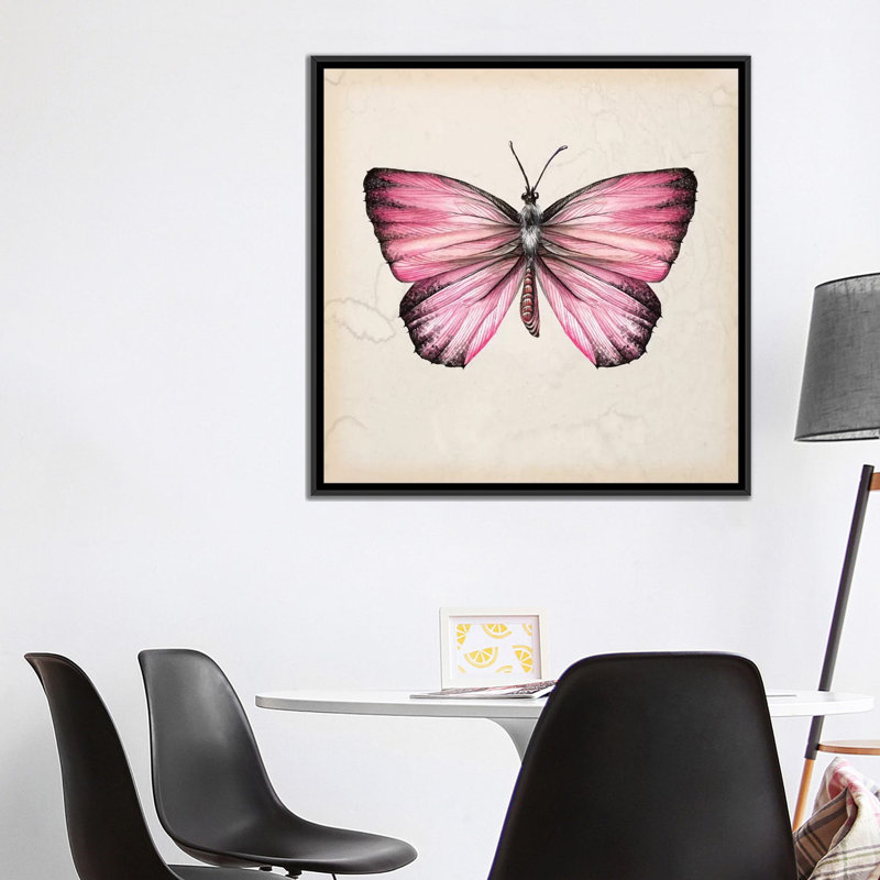 « papillon study iv », impression sur toile, H 18 po x l 18 po x P 1,5 po, Toile avec cadre noir, Pas de tapis