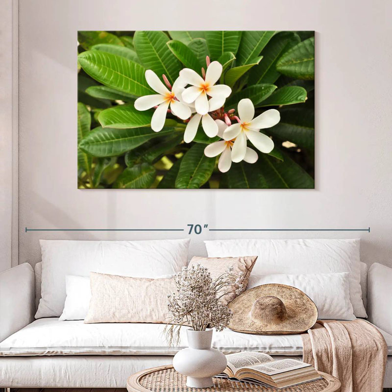 Fleurs de plumeria blanches Harnek, H 32 po x l 48 po