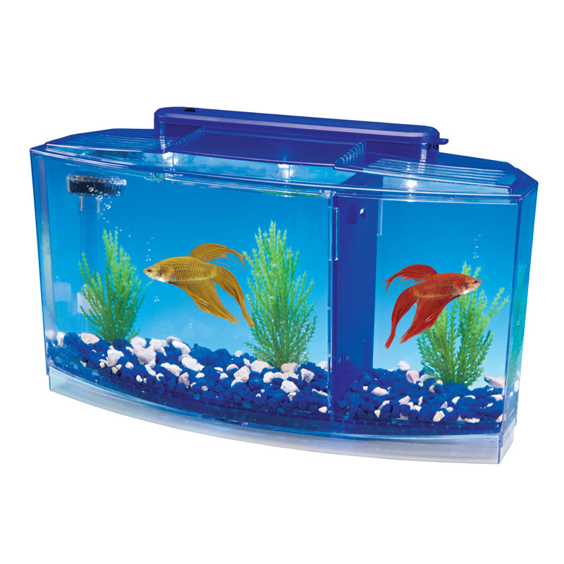 Ensemble de réservoir d'aquarium 0,7 gallons Betta