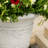 Outdoor Modern Planter