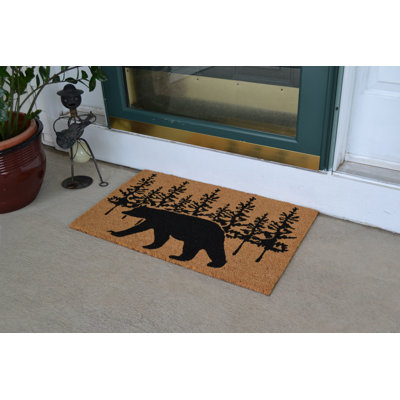 Jaziel Non-Slip Outdoor Doormat