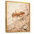 Gold Floater Framed