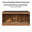 Réservoir de reptile 110 gallons-122721313-120641096