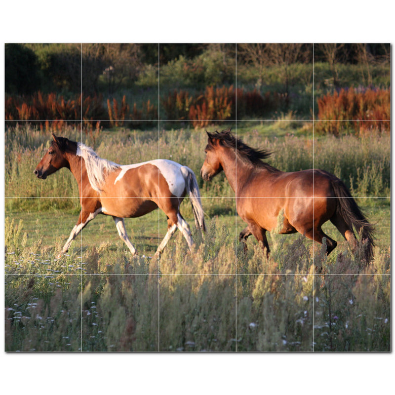 Photo de cheval 6 x 6