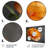 Orange And Black Ranunculus Bloom I - Ranunculus Wall Decor-947163646-947163637
