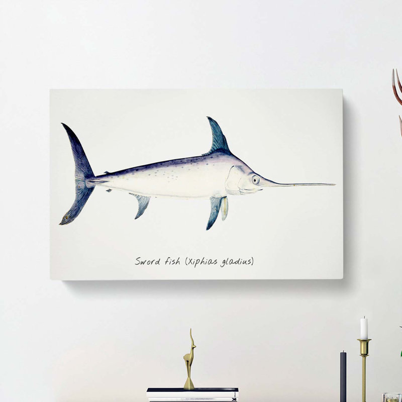 Illustration of a Swordfish by F.E. Clarke - Wrapped Canvas, 50cm H x 76cm W x 3cm D