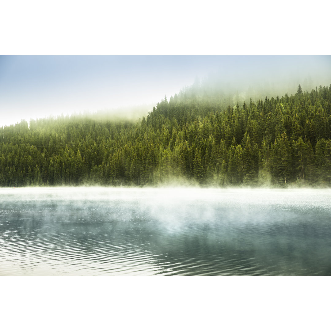 Alberta Wilderness Near Banff by Pgiam - Leinwandbild